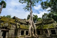 Ta Prohm Temple