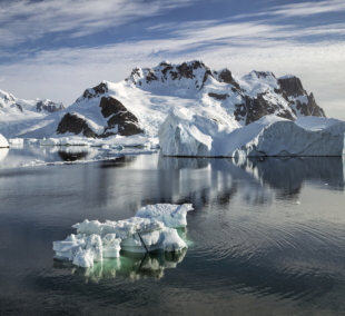 kruizas po antarktida5