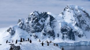 kruizas po antarktida2