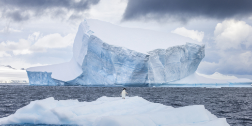 kruizas po antarktida7