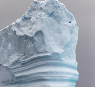 kruizas po antarktida8