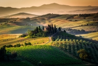 apulija italija vynuogynai 5909