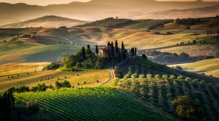 apulija italija vynuogynai 5909