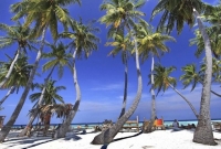 arena lodge maldivesbeach