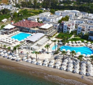 armonia holiday
