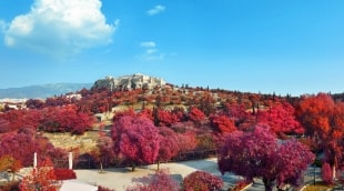 kelione i atenus akropolis parkas 13033