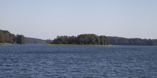 img 4370 12885