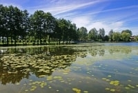 augustavas vaizdas