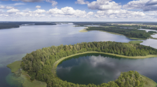 vygriai