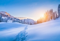 austrijos alpes 6601