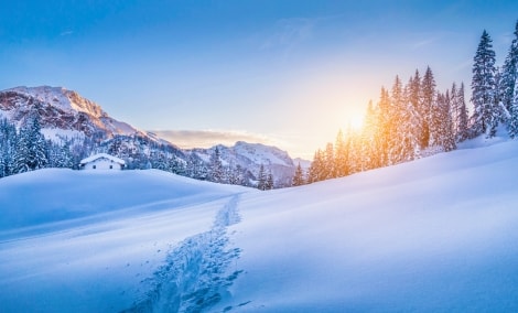 austrijos alpes 6601 12338