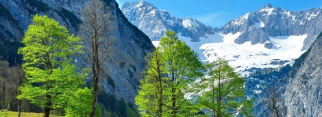 austrija 4