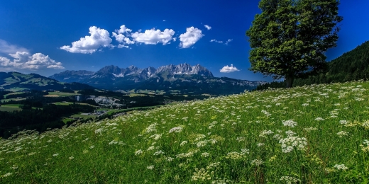 austrija 5