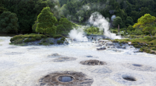 furnas1