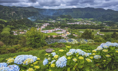 furnas2