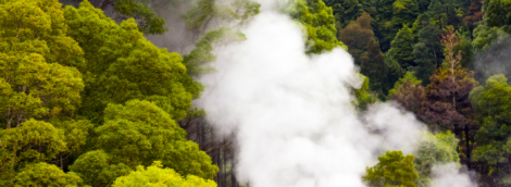 Steaming fumaroles in Furnas valley