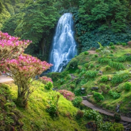 Ribeira dos Caldeiroes Park in Sao Miguel,