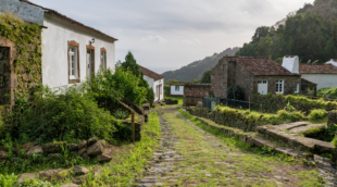 sanguinho