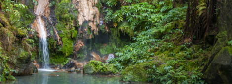 Caldeira Velha karštosios versmes