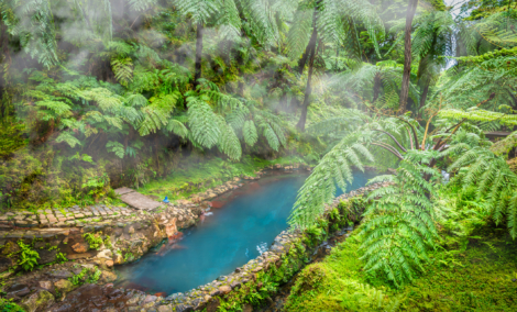 Caldeira Velha, São Miguel Island