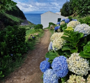 63 20240908 160145 copy