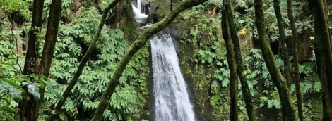 56 20251128 153610 copy