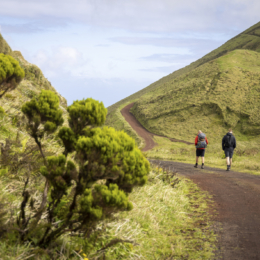 azoru salos sao jorge
