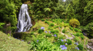 azoru salos sao miguel