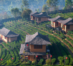 ban rak thai2