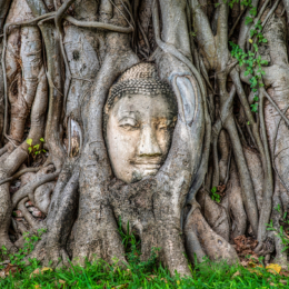 Wat Mahathat