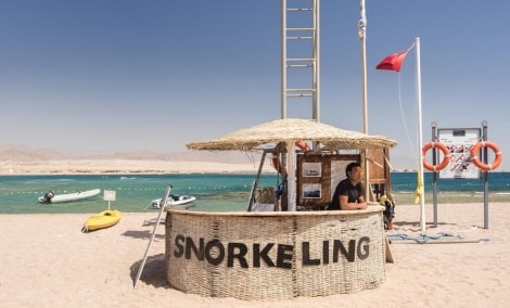 barcelo tiran sharm papludimys 13090