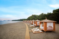 barut fetija papludimys 567