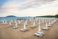 barut papludimys 574