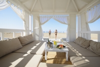 barut papludimys namelis 576