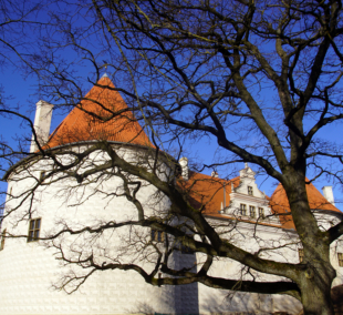 bauskes pilis ruduo