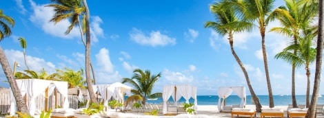 be live collection punta cana gultai