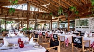 be live collection punta cana restoranas2