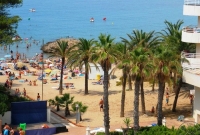 BEST CAP SALOU papludimys