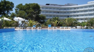 best negresco aplinka