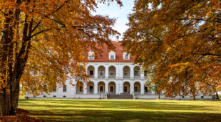 biržų pilis
