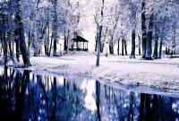 poilsis bistrampolio dvare parkas 6728