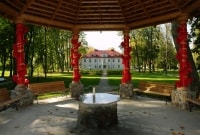 poilsis bistrampolio dvare pavesine 9013