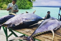 biyadhoo island 6916