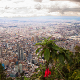 bogota panorama