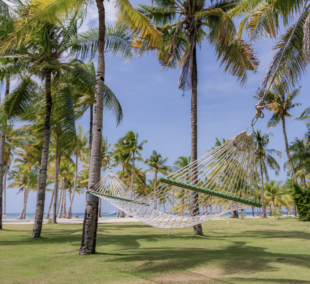 Bohol Beach Club