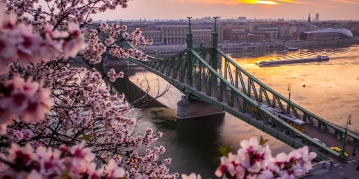 budapestas vakaras tiltas geles