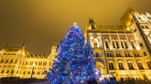 budapestas kaledine eglute 12385