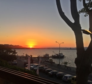 img 0610 14097