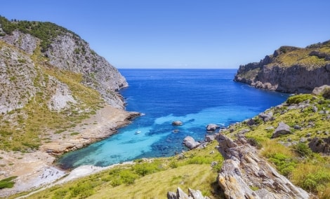 cala figuera papludimys