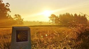 Camino de Santiago zenklas